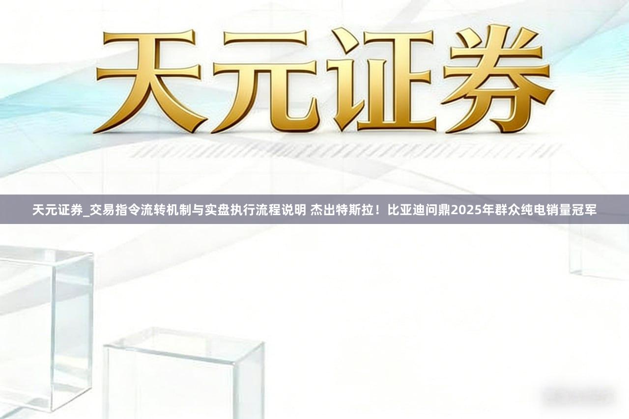 天元证券_交易指令流转机制与实盘执行流程说明 杰出特斯拉！比亚迪问鼎2025年群众纯电销量冠军