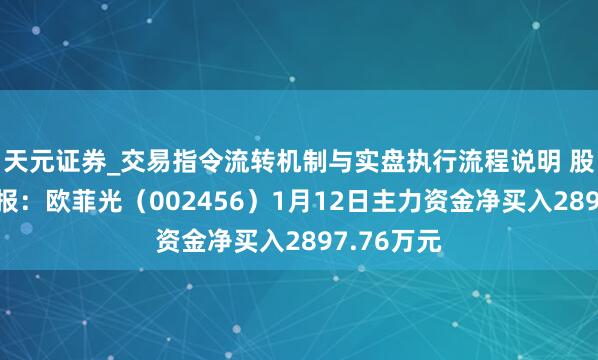 天元证券_交易指令流转机制与实盘执行流程说明 股票行情快报：欧菲光（002456）1月12日主力资金净买入2897.76万元