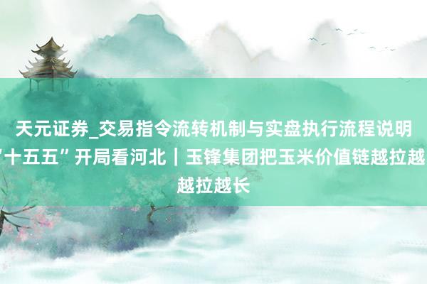 天元证券_交易指令流转机制与实盘执行流程说明 “十五五”开局看河北｜玉锋集团把玉米价值链越拉越长