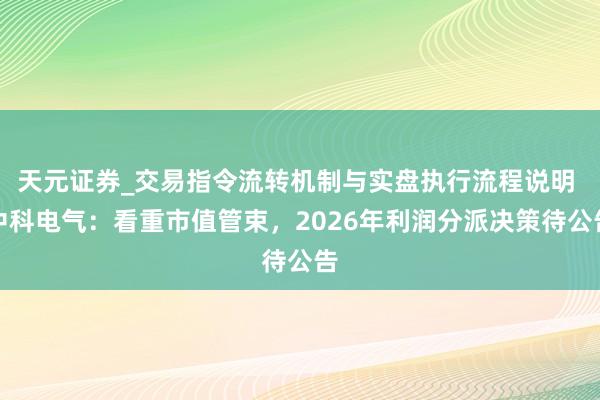 天元证券_交易指令流转机制与实盘执行流程说明 中科电气：看重市值管束，2026年利润分派决策待公告