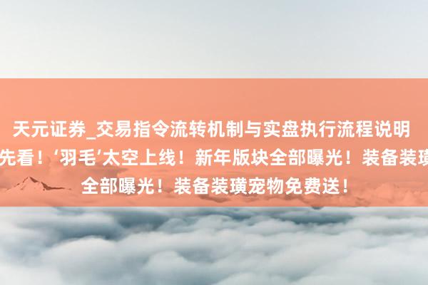 天元证券_交易指令流转机制与实盘执行流程说明 dnf手游：抢先看！‘羽毛’太空上线！新年版块全部曝光！装备装璜宠物免费送！